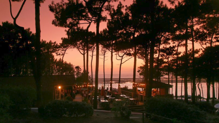 Restaurant 04